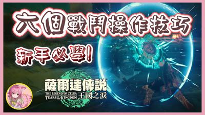 烏龜 招財|【新手必看】烏龜怎麽養？烏龜品種、禁忌、用品清。